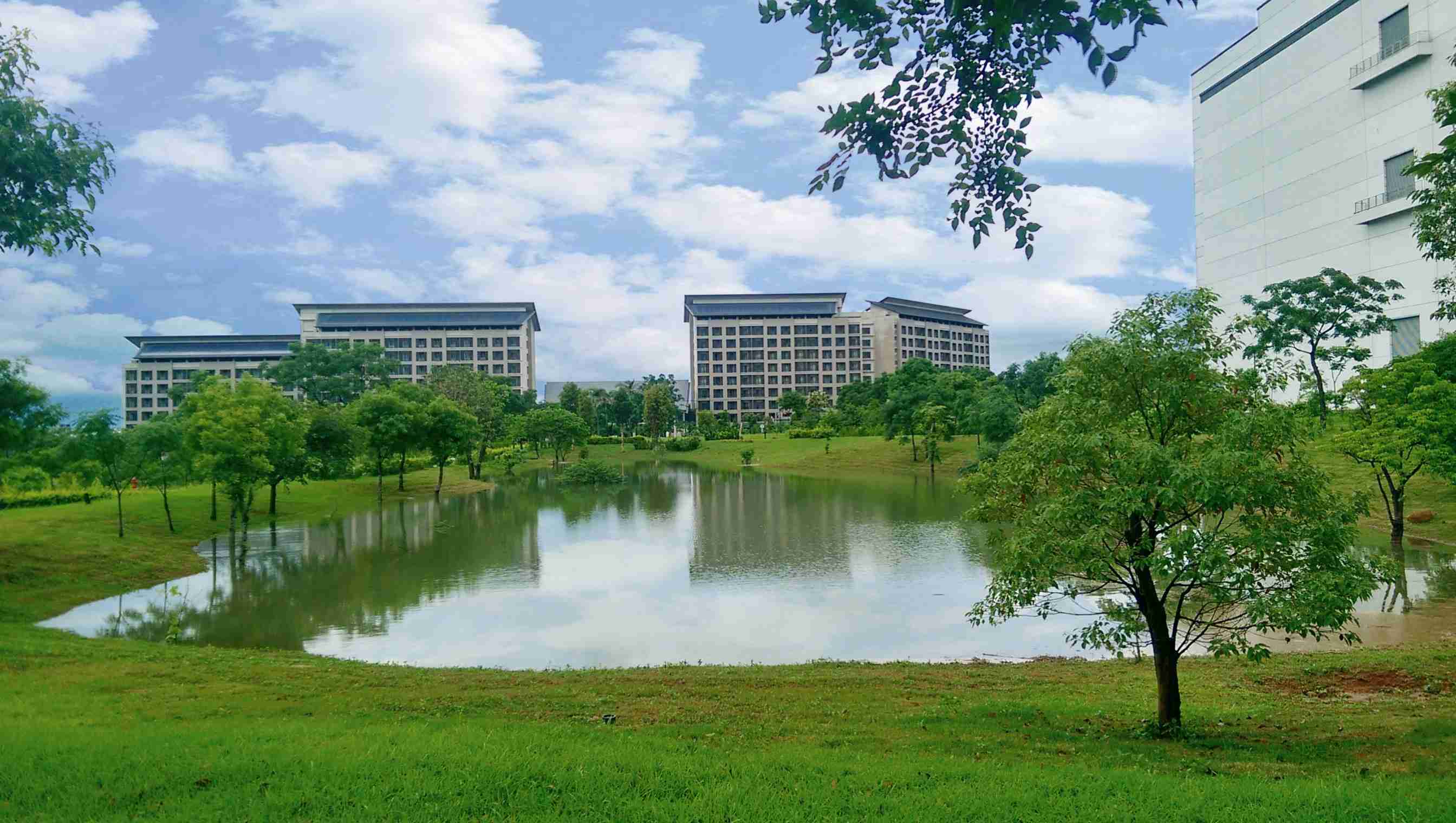 开云电子响应国际倡议生物多样性趋势，，首次发布TNFD自然相关财务揭露报告书，，，擘划及开展开云电子生物多样性政策之承诺，，，逐步迈向与自然和谐共生